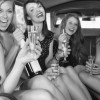  limo, transportation and party planning services